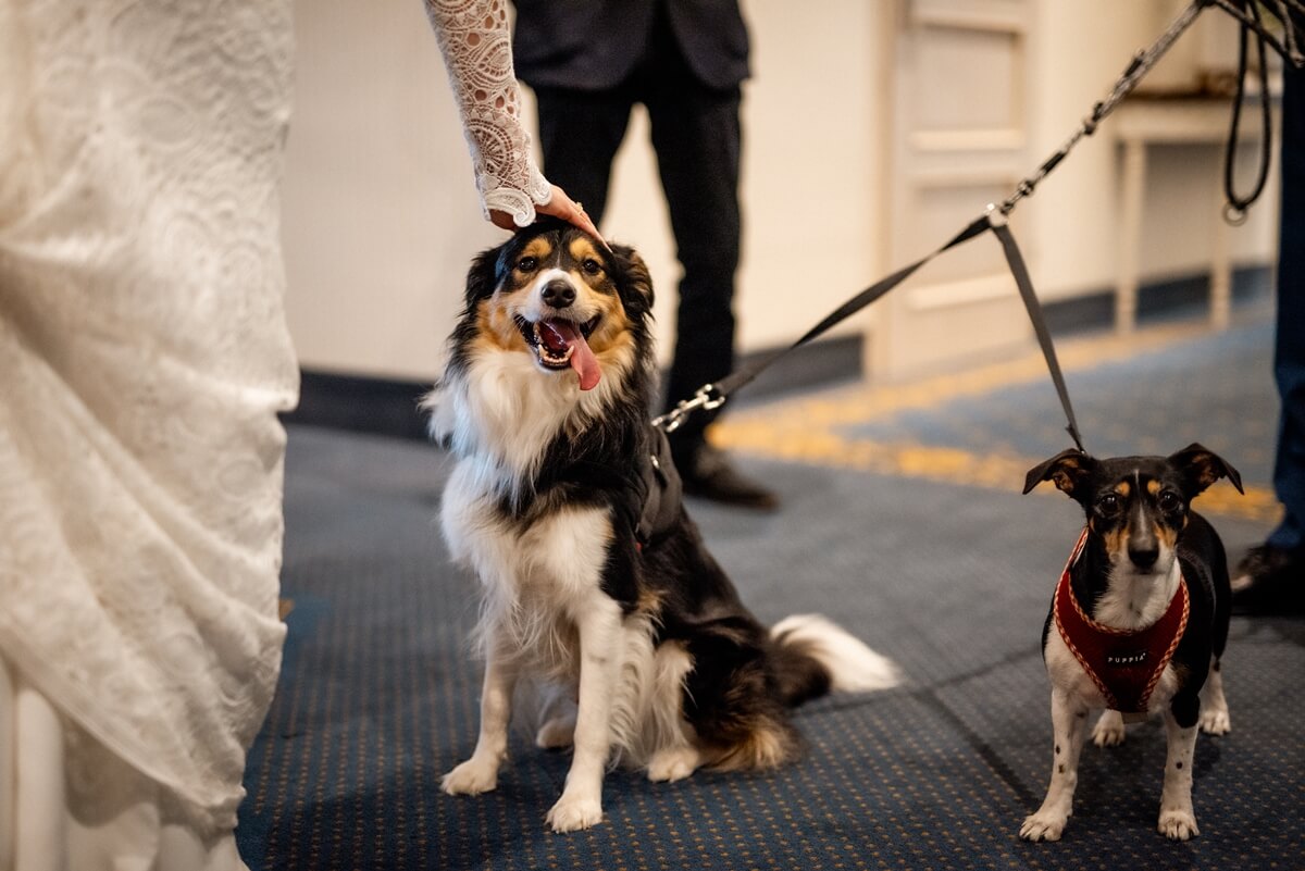 wesele Stara Garbarnia - ślub w plenerze