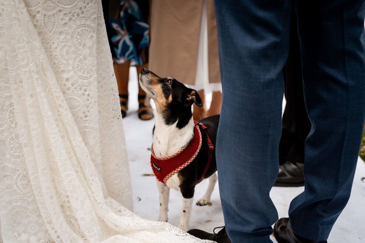 wesele Stara Garbarnia - ślub w plenerze