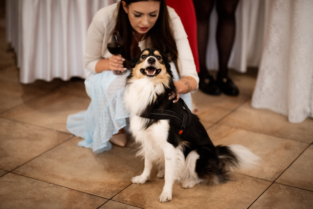 wesele Stara Garbarnia